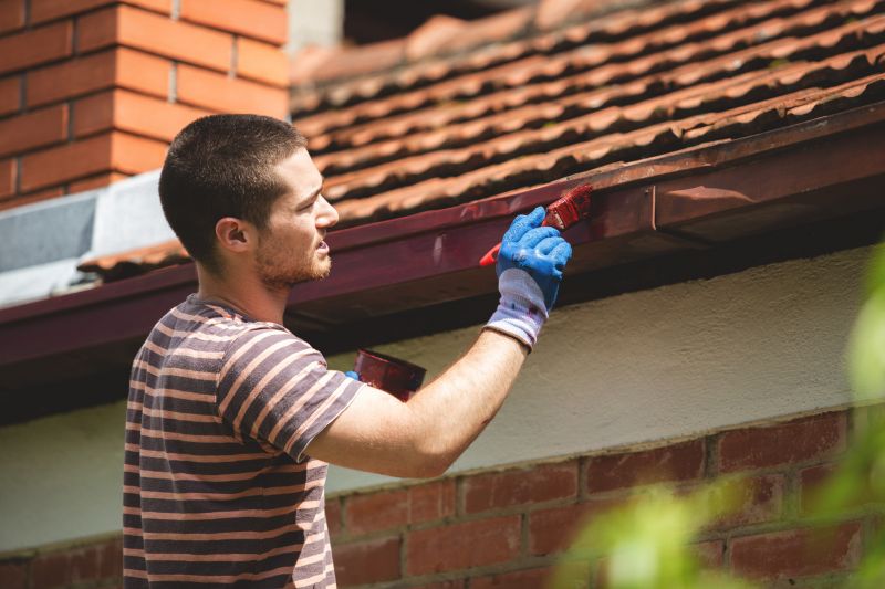 Shed Painting Service in Waco, TX